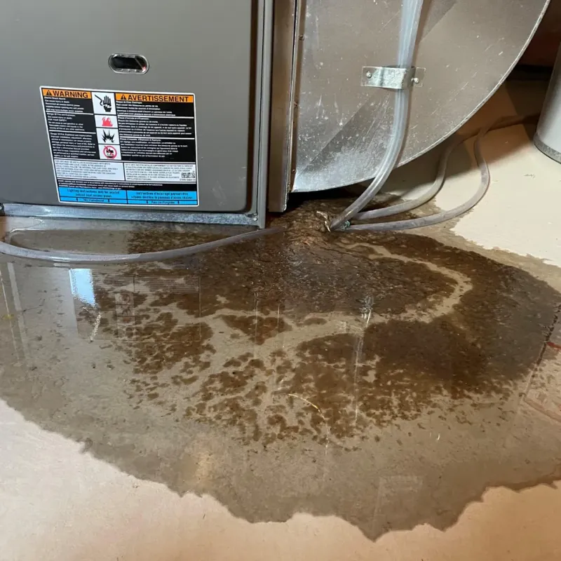 Appliance Leak Cleanup in Oak Grove, VA